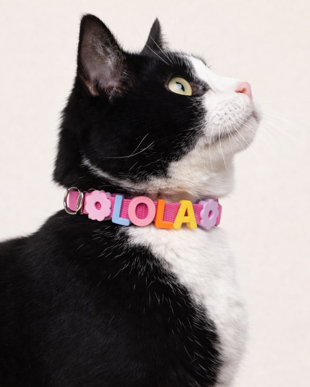 Collares personalizados con emojis